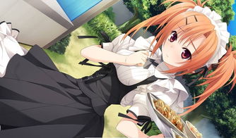 从虚拟到现实 动漫游戏开发的创意碰撞与技术融合